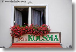 europe, flowers, horizontal, hungary, kocsma, signs, tarcal, photograph