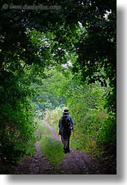 clothes, europe, hats, hikers, hiking, hungary, nature, people, plants, tokaj hills, tree tunnel, trees, vertical, photograph