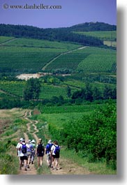 europe, hikers, hiking, hungary, people, tokaj hills, vertical, vinyards, photograph