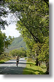 bikers, connaught, connemara, europe, ireland, irish, mayo county, trees, vertical, western ireland, photograph