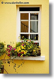 connaught, connemara, europe, ireland, irish, mayo county, vertical, western ireland, windows, yellow, photograph