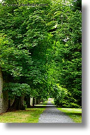 eastern ireland, europe, ireland, irish, kildare, leinster, paths, trees, vertical, photograph