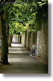 eastern ireland, europe, ireland, irish, kildare, leinster, sidewalks, trees, vertical, photograph