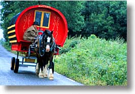 buggy, cork county, dingle, dingle penninsula, europe, horizontal, horses, ireland, munster, photograph
