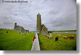 clonmacnois, county shannon, europe, horizontal, ireland, round, shannon, shannon river, towers, photograph