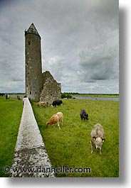 clonmacnois, county shannon, europe, ireland, irish, round, shannon, shannon river, towers, vertical, photograph
