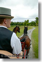 buggy, county shannon, europe, horses, ireland, irish, shannon, shannon river, vertical, photograph