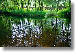 county shannon, dublin, europe, horizontal, ireland, irish, lush, reflections, shannon, shannon river, photograph