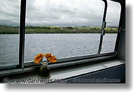 boats, europe, flowers, horizontal, ireland, irish, river barge, rooms, shannon princess, shannon princess ii, water vessel, windows, photograph