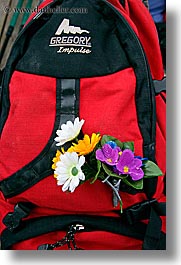 alto adige, backpack, dolomites, europe, flowers, italy, vertical, photograph