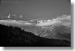 alto adige, black and white, dawn, dolomites, europe, fog, horizontal, italy, latemar, photograph