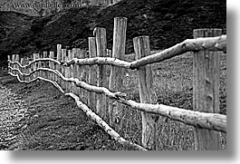 alto adige, black and white, dolomites, europe, fences, horizontal, italy, long, nature, woods, photograph