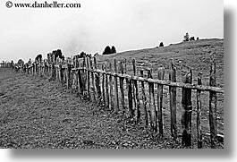 alto adige, black and white, dolomites, europe, fences, horizontal, italy, nature, old, woods, photograph
