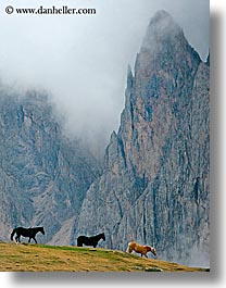alto adige, dolomites, europe, fog, horses, italy, rasciesa, rasciesa massif, vertical, photograph