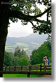alto adige, dolomites, europe, fences, hikers, italy, rosengarten, trees, vertical, photograph