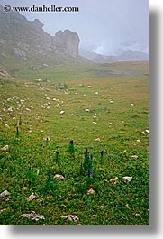 alto adige, dolomites, europe, italy, orsolina, val orsolina, valley, vertical, photograph