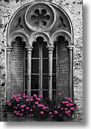 color composite, color/bw composite, doors & windows, europe, flowers, italy, po river valley, valley, vertical, windows, photograph