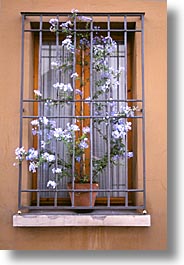doors & windows, europe, italy, po river valley, valley, vertical, windows, photograph