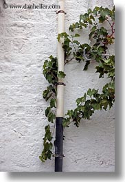 alberobello, europe, green, italy, ivy, pipes, puglia, vertical, white, photograph