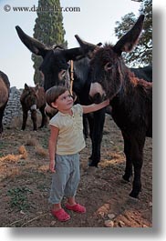 alberobello, childrens, donkeys, europe, italy, mule farm, petting, puglia, vertical, photograph