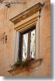 europe, geraniums, italy, lecce, puglia, vertical, windows, photograph