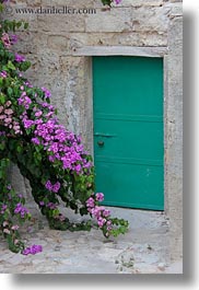 bougainvilleas, doors, europe, flowers, italy, matera, nature, plants, puglia, purple, vertical, photograph
