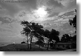 black and white, clouds, europe, horizontal, italy, porticciolo, puglia, silhouettes, trees, photograph