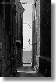 alleys, black and white, europe, italy, narrow, puglia, street lamps, taranto, towns, vertical, photograph