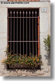 europe, flowers, gates, irons, italy, puglia, trani, vertical, windows, photograph