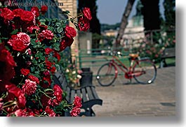bicycles, europe, horizontal, italy, rome, roses, photograph
