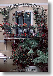 alghero, europe, italy, sardinia, vertical, windows, photograph
