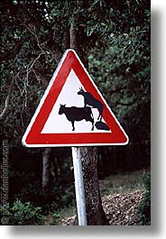 cows, crossing, europe, italy, sardinia, scenics, signs, vertical, photograph