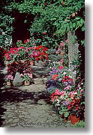 europe, flowery, italy, porch, sardinia, su gologone, vertical, photograph