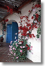europe, flowery, italy, sardinia, su gologone, vertical, walls, photograph