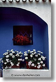 europe, flowery, italy, sardinia, su gologone, vertical, windows, photograph