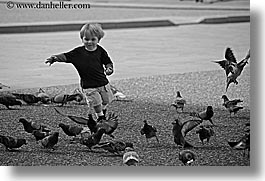 birds, black and white, boys, childrens, europe, florence, horizontal, italy, jacks, people, pigeons, running, toddlers, tuscany, photograph