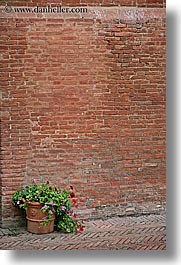 bricks, europe, flowers, italy, monestaries, monte oliveto maggiore, tuscany, vertical, photograph