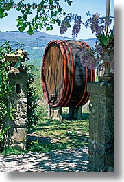 barrels, casks, europe, italy, scenics, tuscany, vertical, wines, photograph