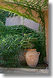 archways, europe, isola giglio, italy, ivy, pots, teracotta, towns, tuscany, under, vertical, photograph