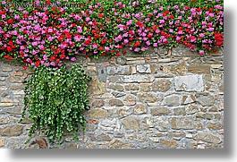 europe, flowers, horizontal, italy, montalcino, stones, towns, tuscany, walls, photograph
