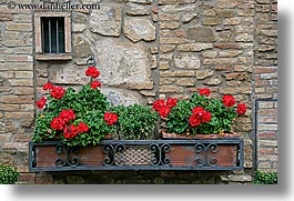 europe, flowers, geraniums, horizontal, italy, montalcino, stones, towns, tuscany, walls, windows, photograph