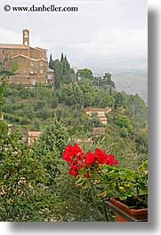 bell towers, europe, flowers, geraniums, italy, montalcino, towns, tuscany, vertical, photograph