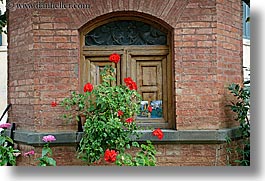 bricks, europe, flowers, gardens, geraniums, horizontal, italy, montalcino, shed, towns, tuscany, photograph