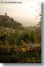 europe, italy, montalcino, overlook, scenics, towns, tuscany, vertical, photograph