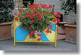 europe, flowerbox, flowers, horizontal, italy, pienza, plants, towns, tuscany, photograph