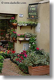 corner, europe, flowers, italy, pienza, plants, towns, tuscany, vertical, photograph