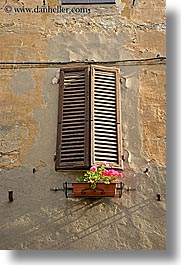 europe, flowers, italy, pienza, plants, towns, tuscany, vertical, windows, photograph