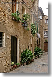 europe, flowers, italy, pienza, plants, towns, tuscany, vertical, windows, photograph