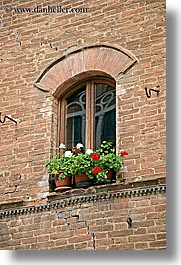 archways, bricks, europe, flowers, italy, pienza, plants, towns, tuscany, vertical, windows, photograph