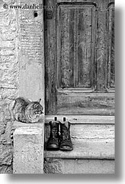 black and white, cats, doors, europe, italy, poderi di coiano, towns, tuscany, vertical, woods, photograph